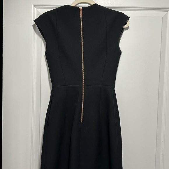Ted Baker dress - Picture 9 of 12